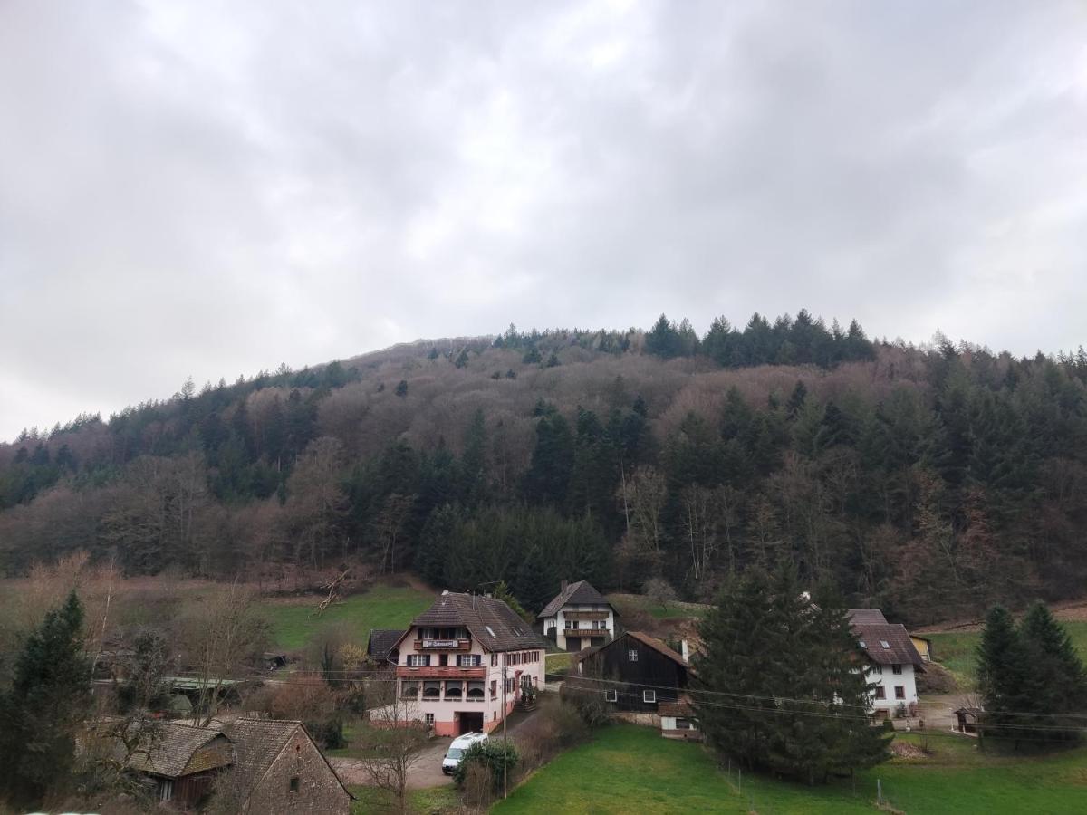 Geraeumige Wohnung Im Schwarzwald Seelbach  Exterior photo